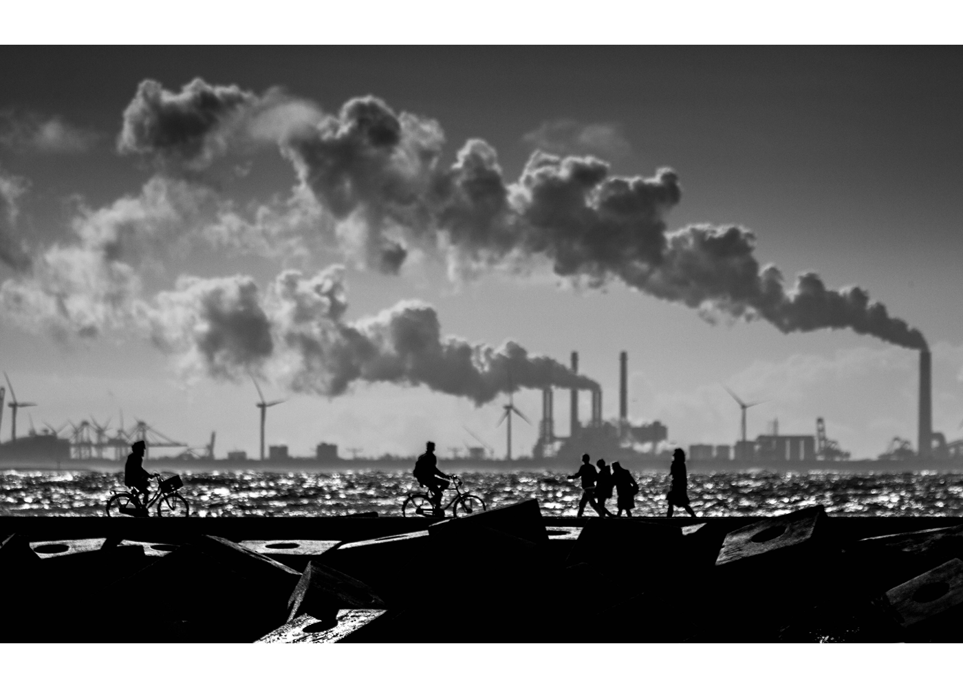 De Maasvlakte